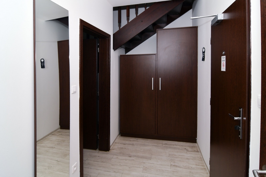 Pronájem bytu 2+kk nebo 3+kk v Brně, 100 m2, s terasou a balkonem