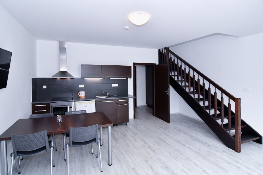 Pronájem bytu v Brně, s terasou, 3+kk , 121 m2 - 140 m2