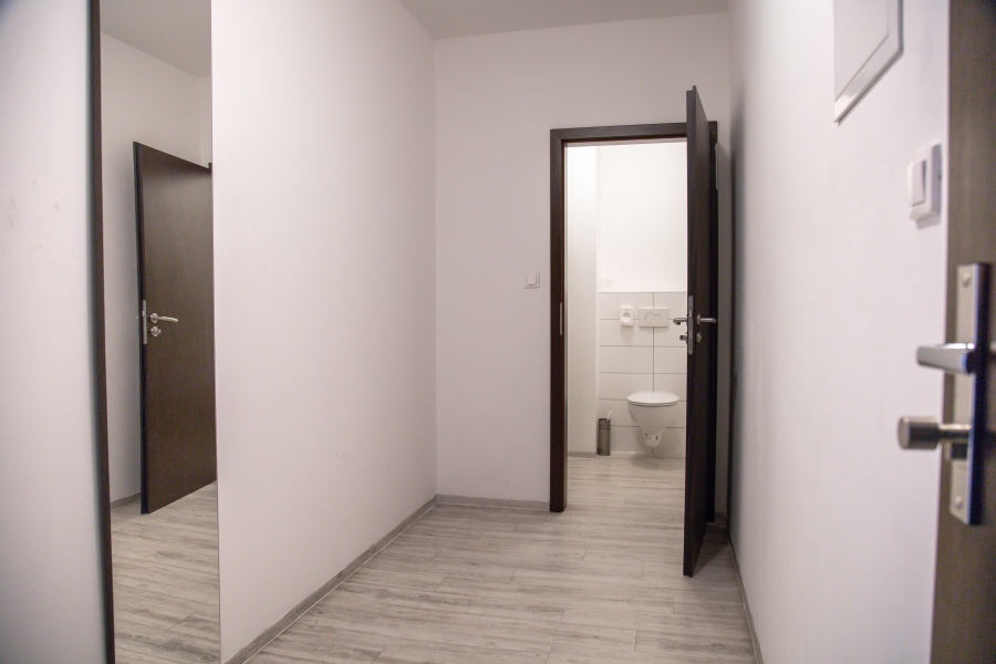 Pronájem bytu 2+kk nebo 3+kk v Brně, 100 m2, s terasou a balkonem