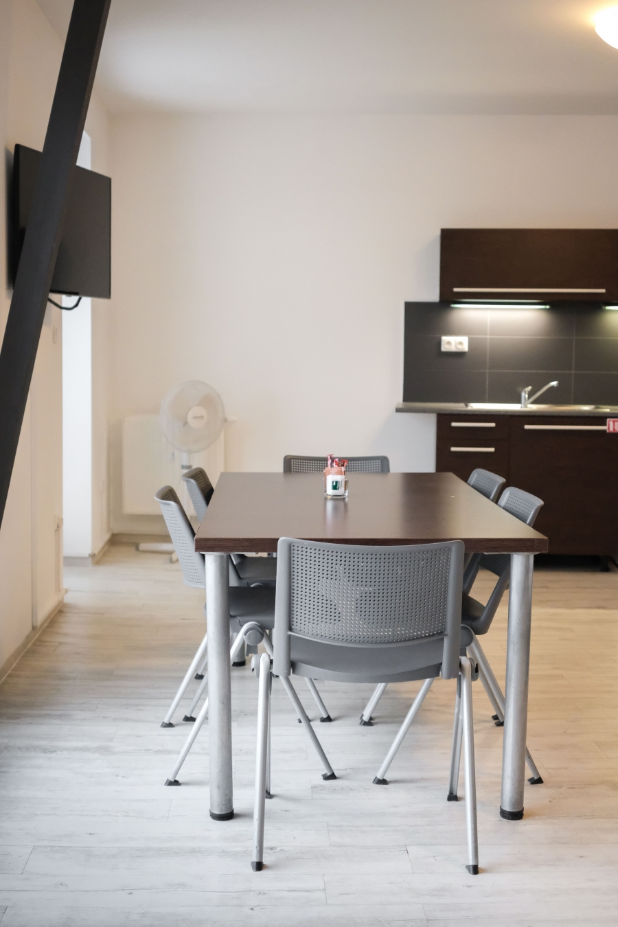 Pronájem bytu 2+kk nebo 3+kk v Brně, 100 m2, s terasou a balkonem