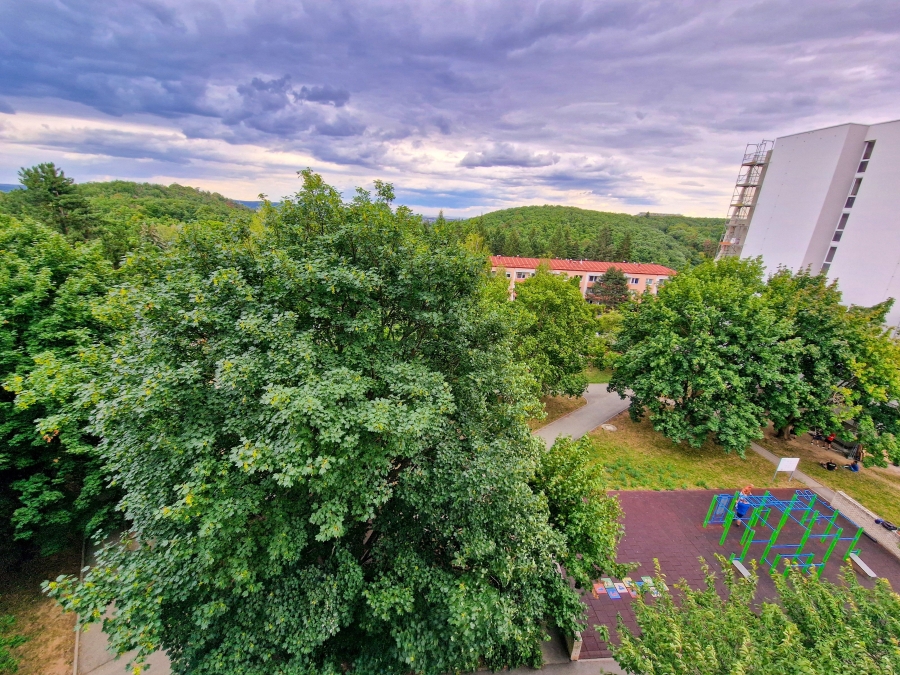 Prodej bytu 2+1 v Brně Kohoutovicích, byt k celkové rekonstrukci