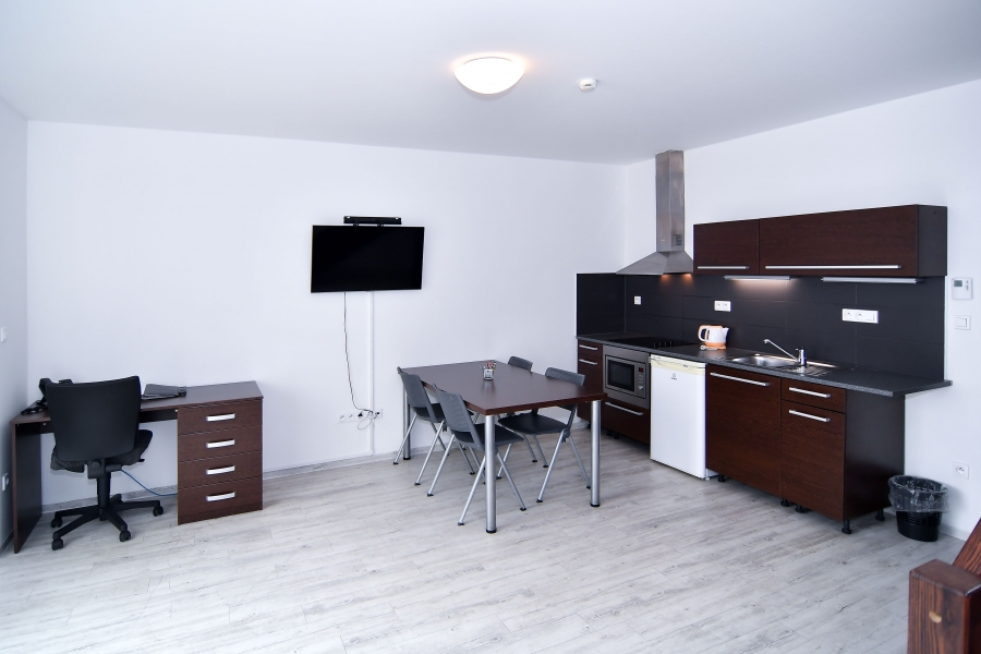Pronájem bytu v Brně, s terasou, 3+kk , 121 m2 - 140 m2